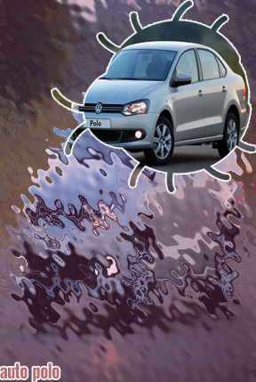 Auto polo