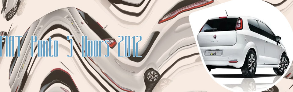 Fiat punto 2014
