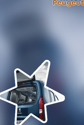 Peugeot rifter